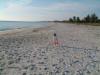 Gulf Sands Beach Motel & Apartments..beach front florida vacation on Casey Key..in Nokomis Florida